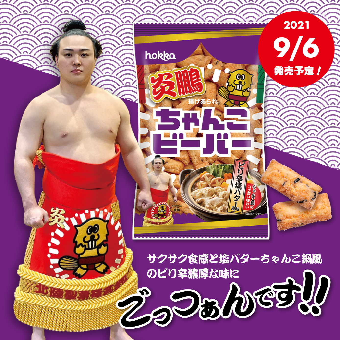 030827-SNS%EF%BC%9A%E7%82%8E%E9%B5%AC%E3